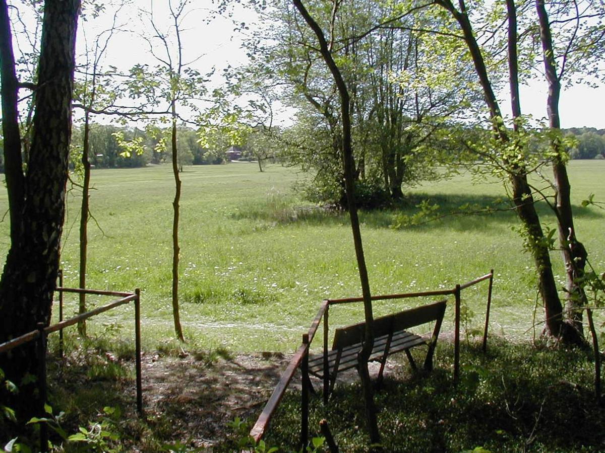 Apartament Haus Waldfrieden Bad Saarow Zewnętrze zdjęcie