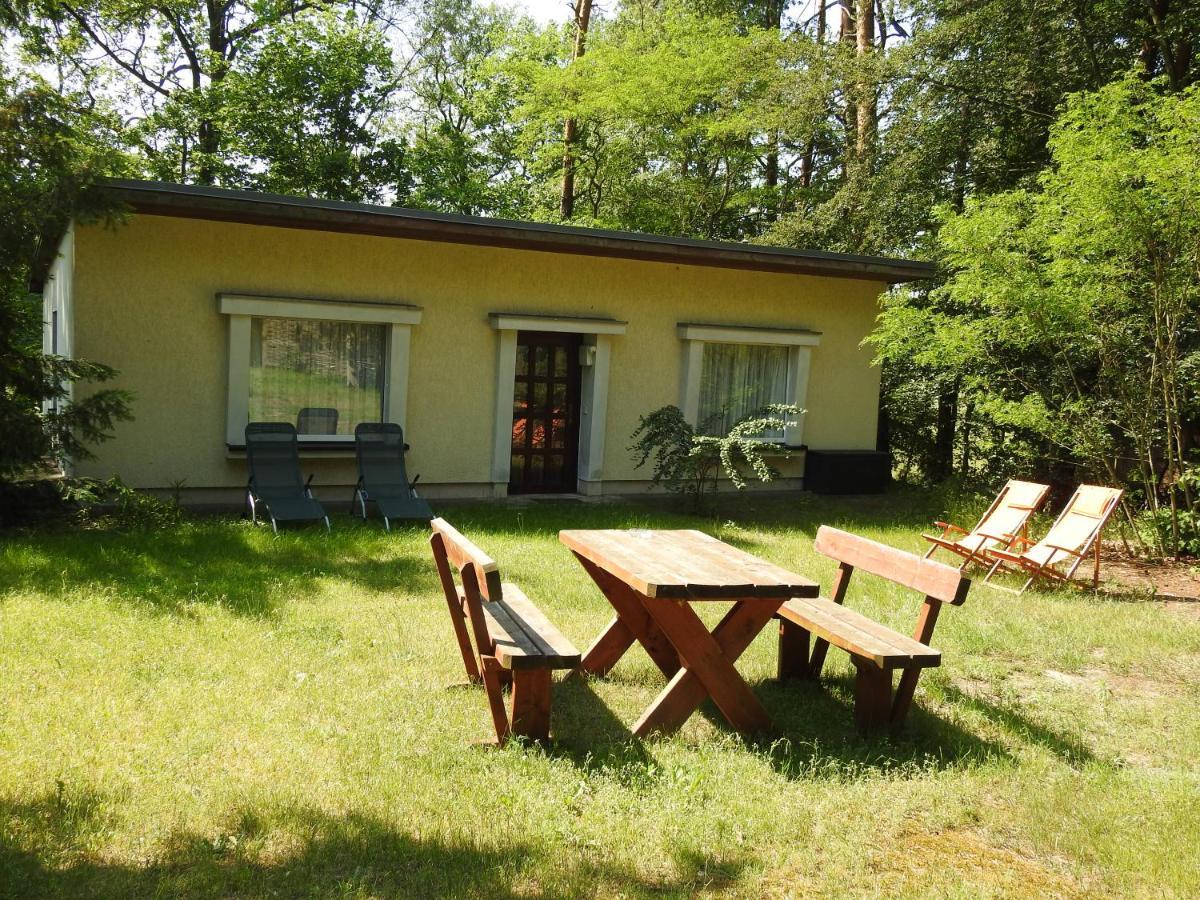 Apartament Haus Waldfrieden Bad Saarow Zewnętrze zdjęcie