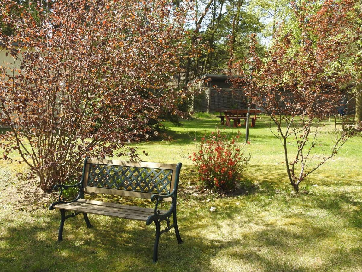 Apartament Haus Waldfrieden Bad Saarow Zewnętrze zdjęcie